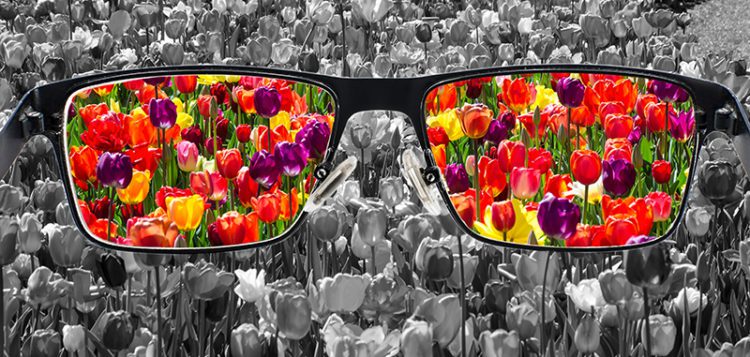 Eyeglasses with colorful tulips on the lenses on a background of black and white tulips.